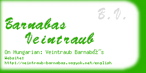 barnabas veintraub business card
